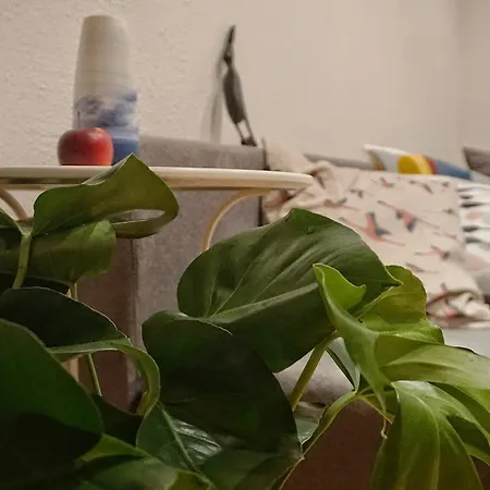 Q50 Bairro Alto - Ceramics Apartman